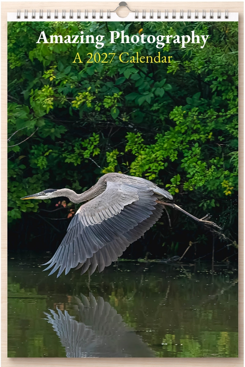 Amazing Photography: A 2027 Calendar