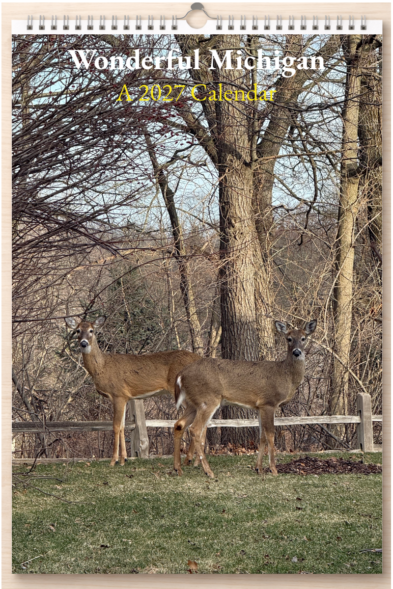 Wonderful Michigan: A 2027 Calendar