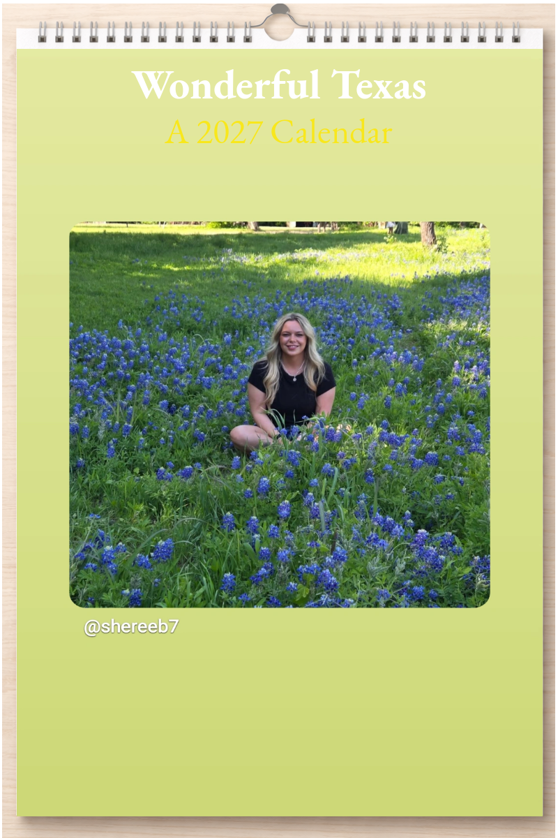 Wonderful Texas: A 2027 Calendar