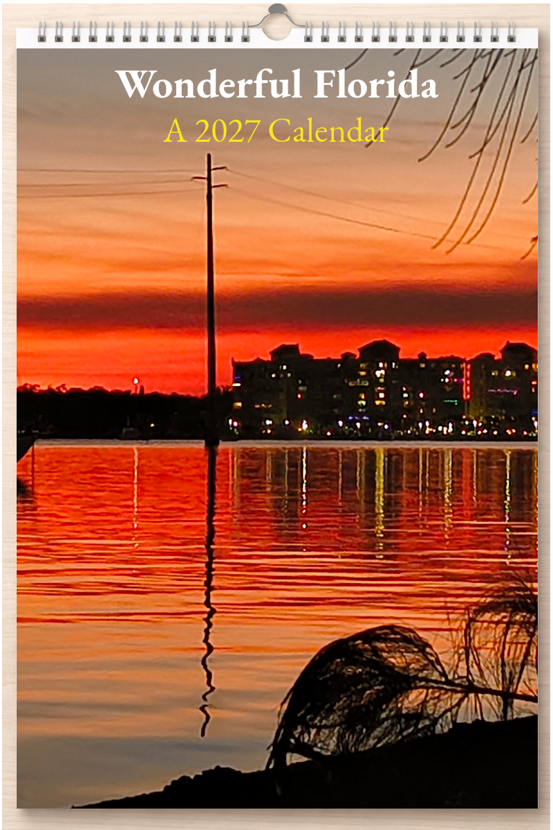 Wonderful Florida: A 2027 Calendar