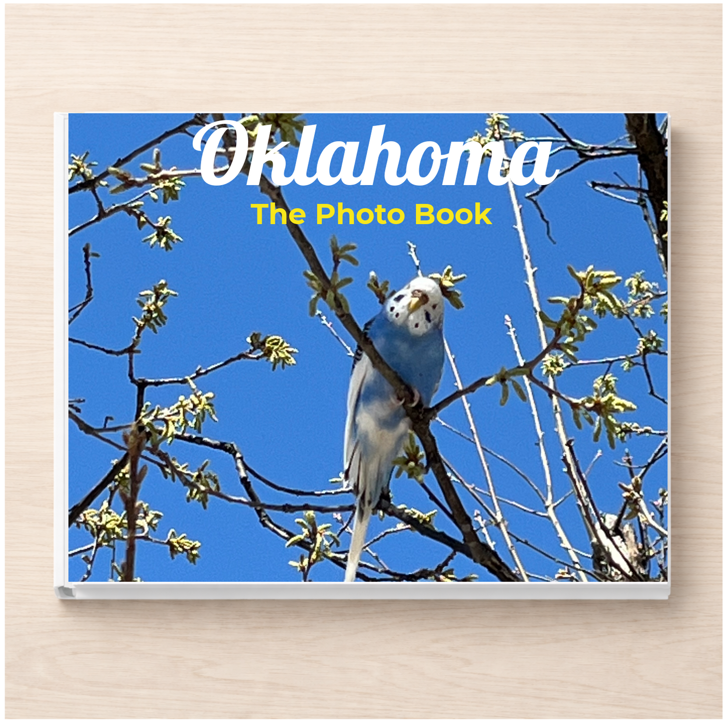 Oklahoma: The Photo Book