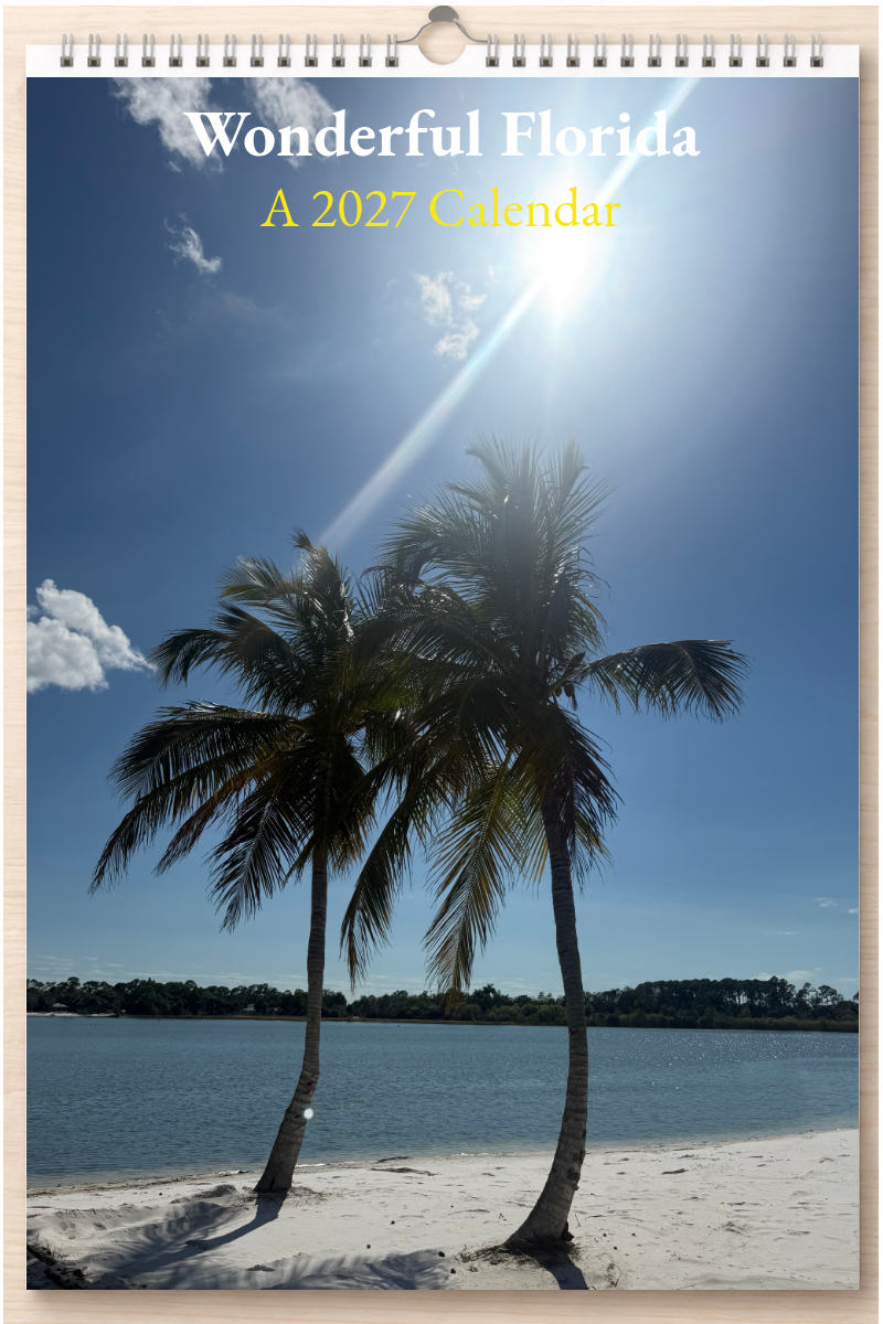 Wonderful Florida: A 2027 Calendar