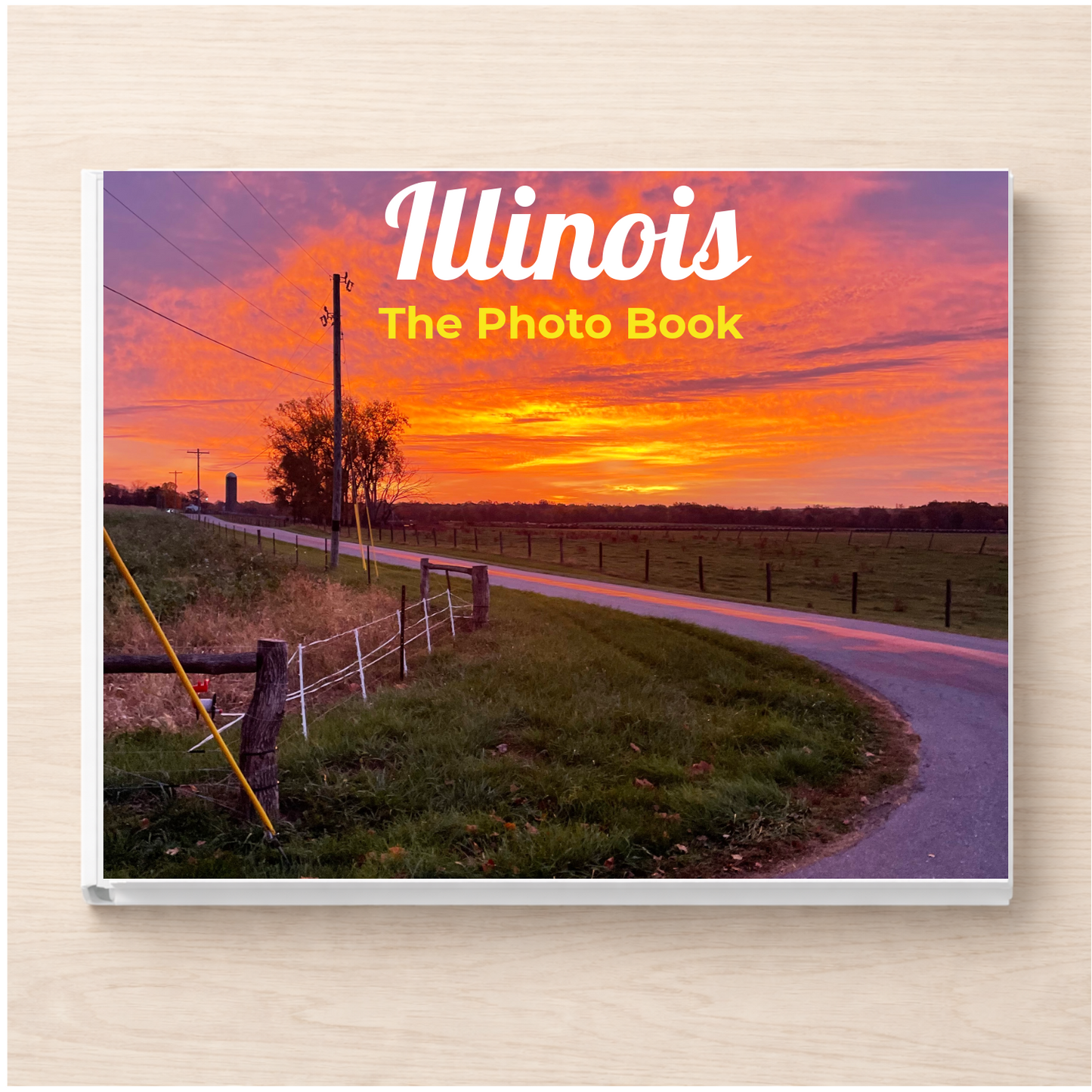 Illinois: The Photo Book