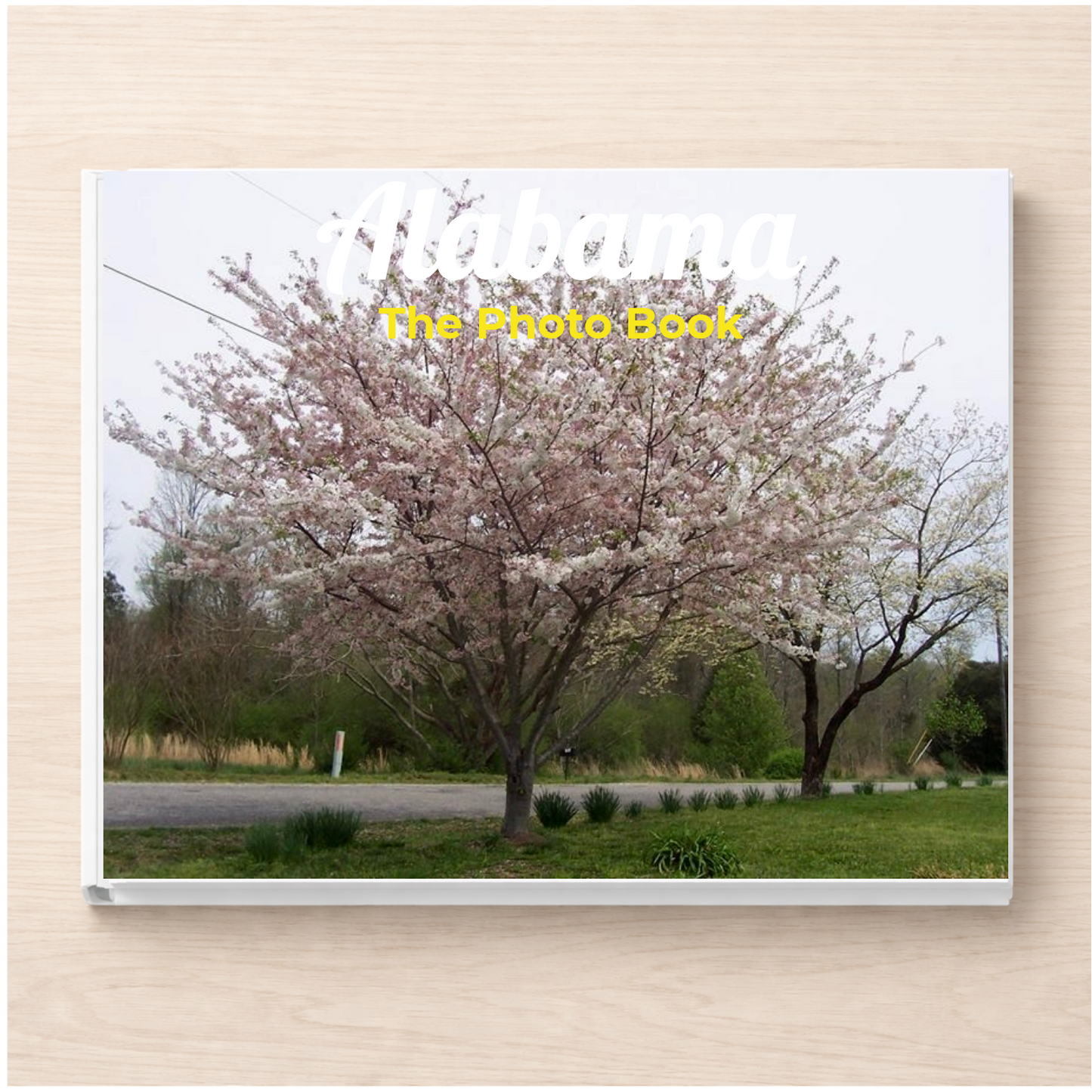 Alabama: The Photo Book