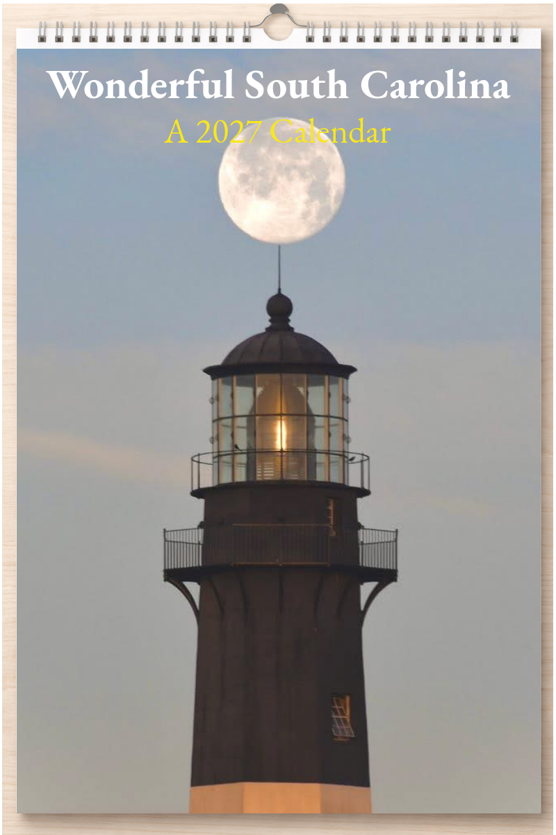 Wonderful South Carolina: A 2027 Calendar