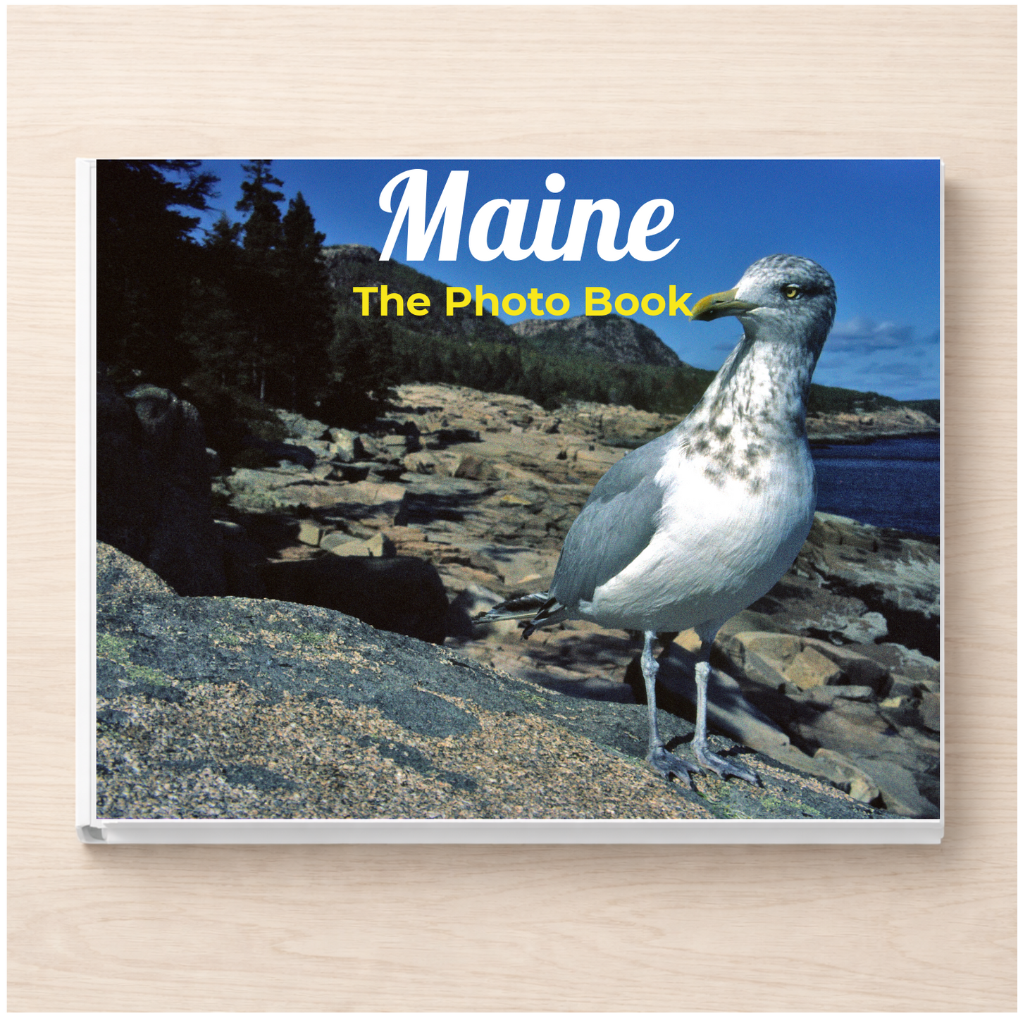 Maine: The Photo Book