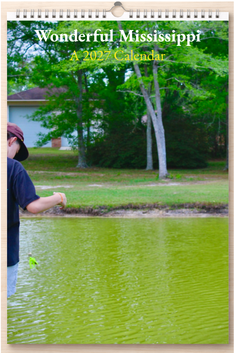 Wonderful Mississippi: A 2027 Calendar