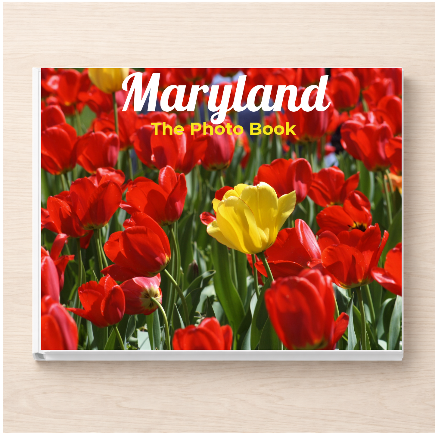 Maryland: The Photo Book