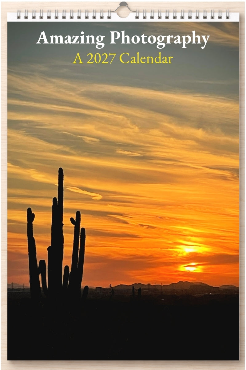 Amazing Photography: A 2027 Calendar
