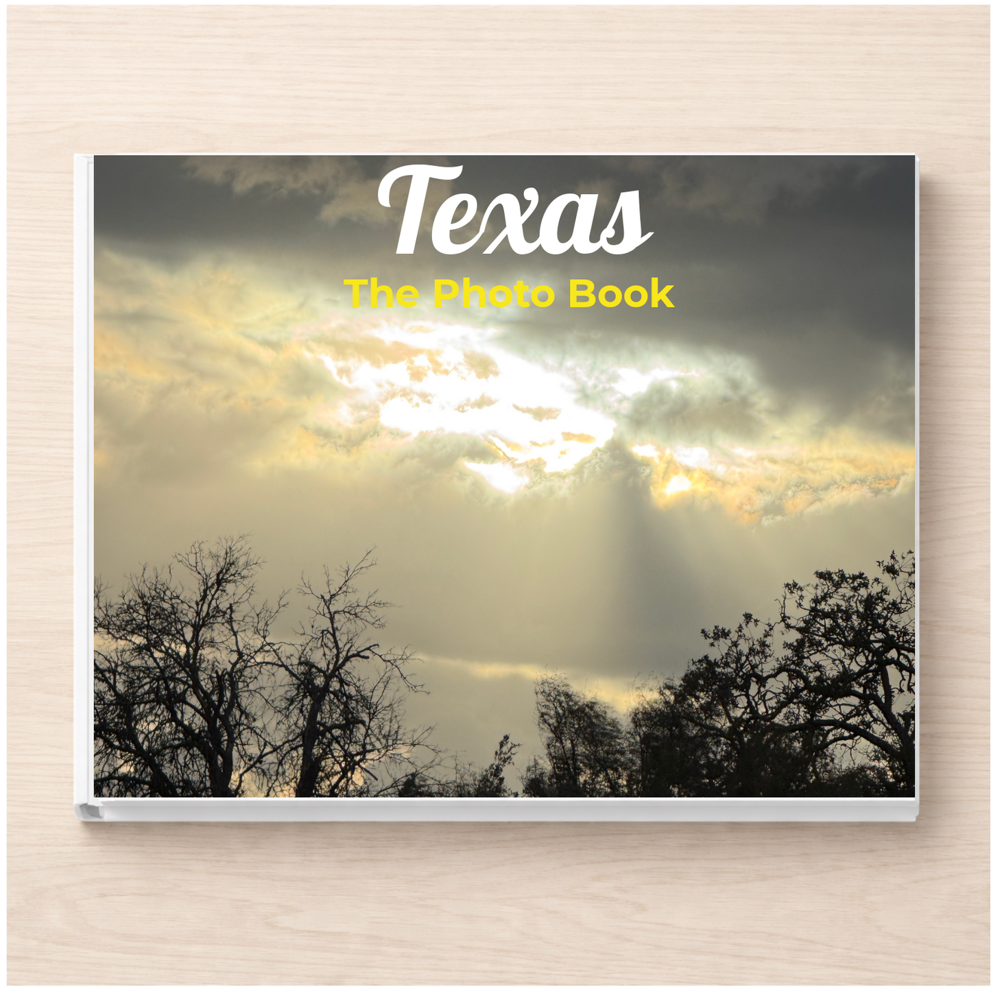 Texas: The Photo Book