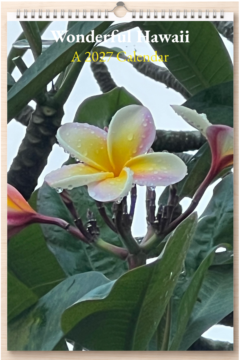 Wonderful Hawaii: A 2027 Calendar