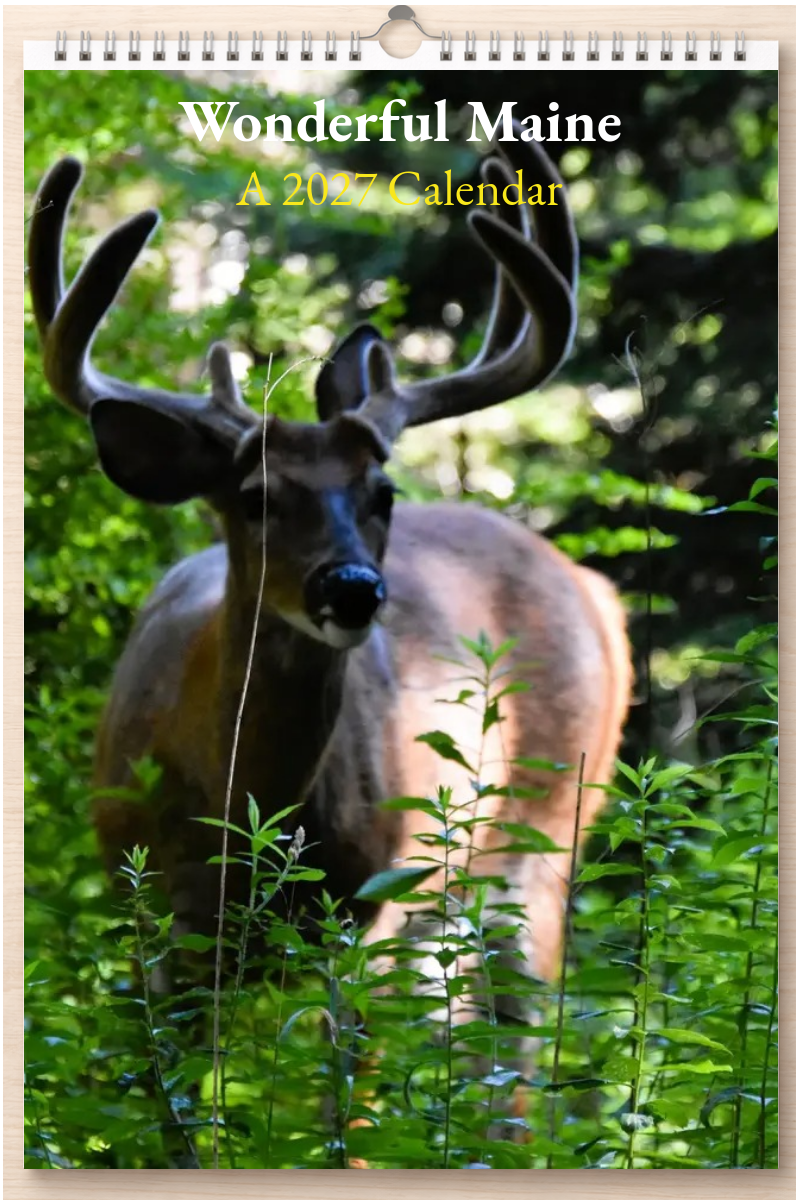 Wonderful Maine: A 2027 Calendar
