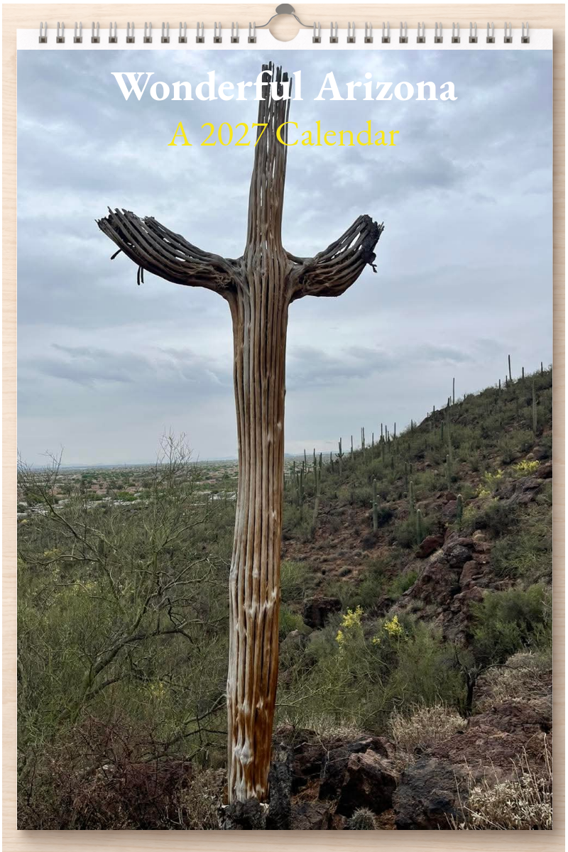 Wonderful Arizona: A 2027 Calendar