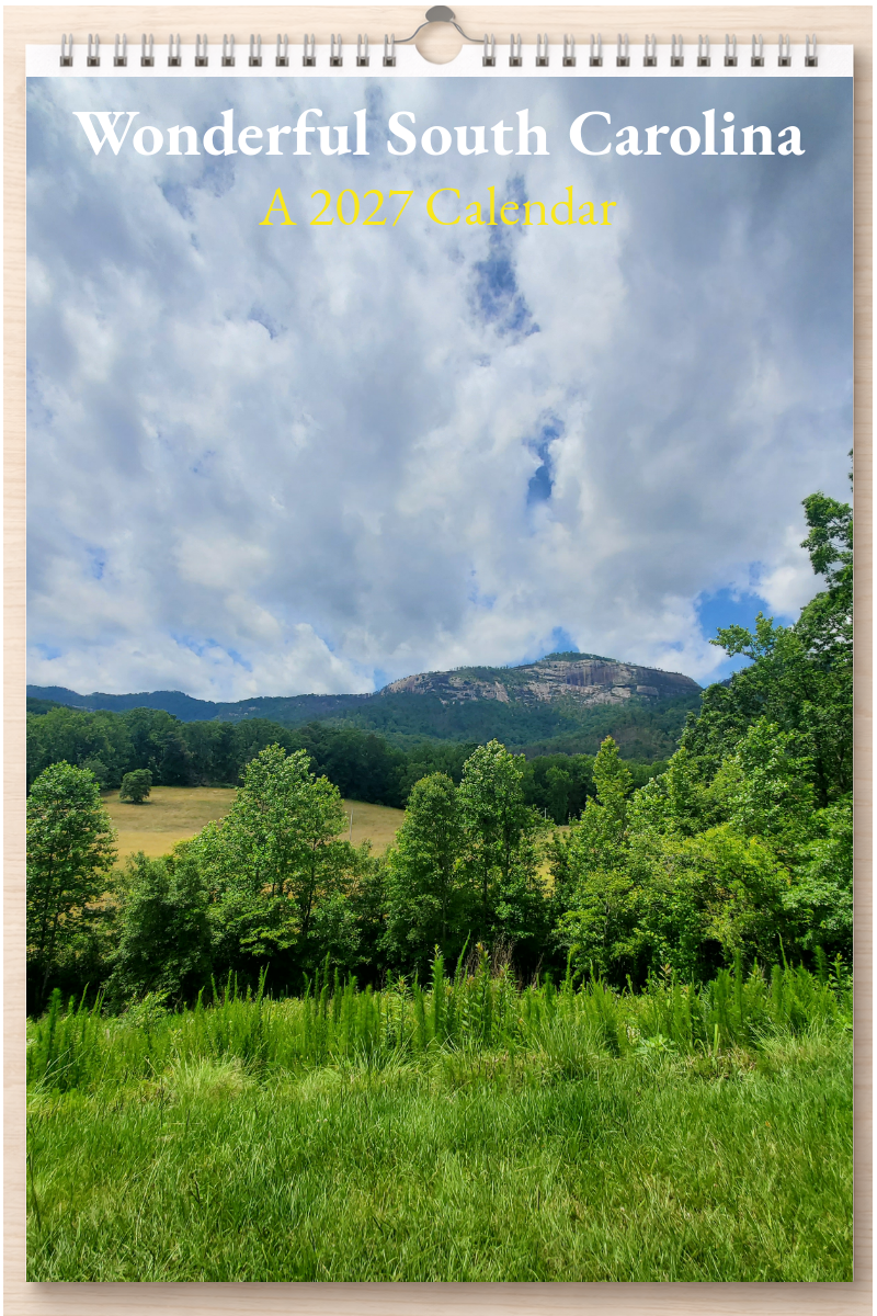 Wonderful South Carolina: A 2027 Calendar
