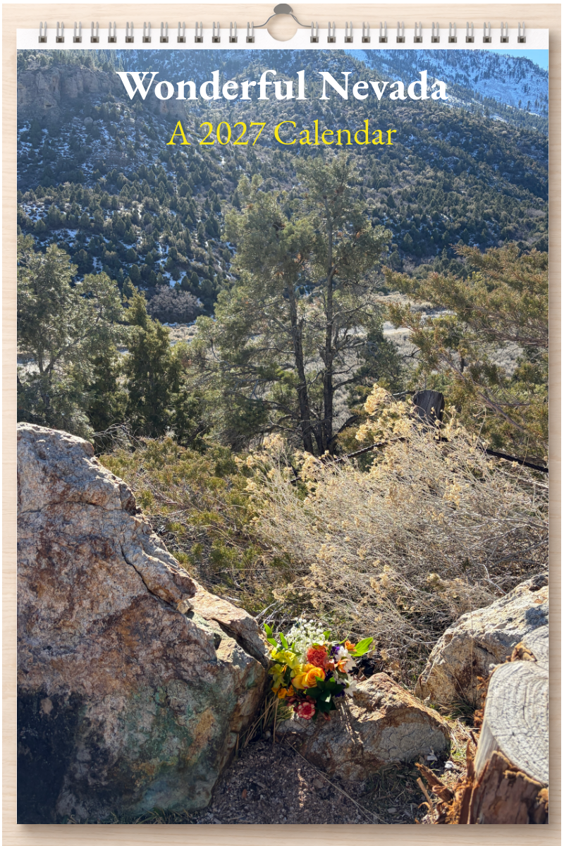 Wonderful Nevada: A 2027 Calendar