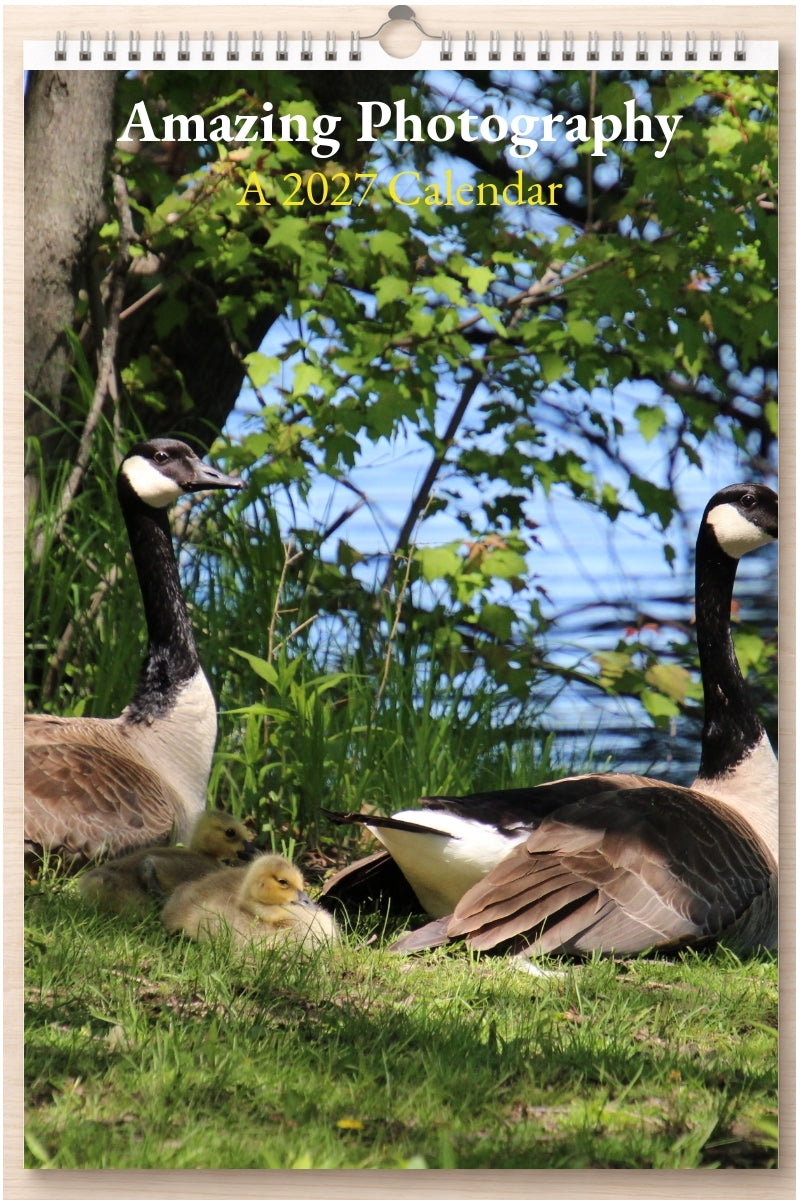 Amazing Photography: A 2027 Calendar