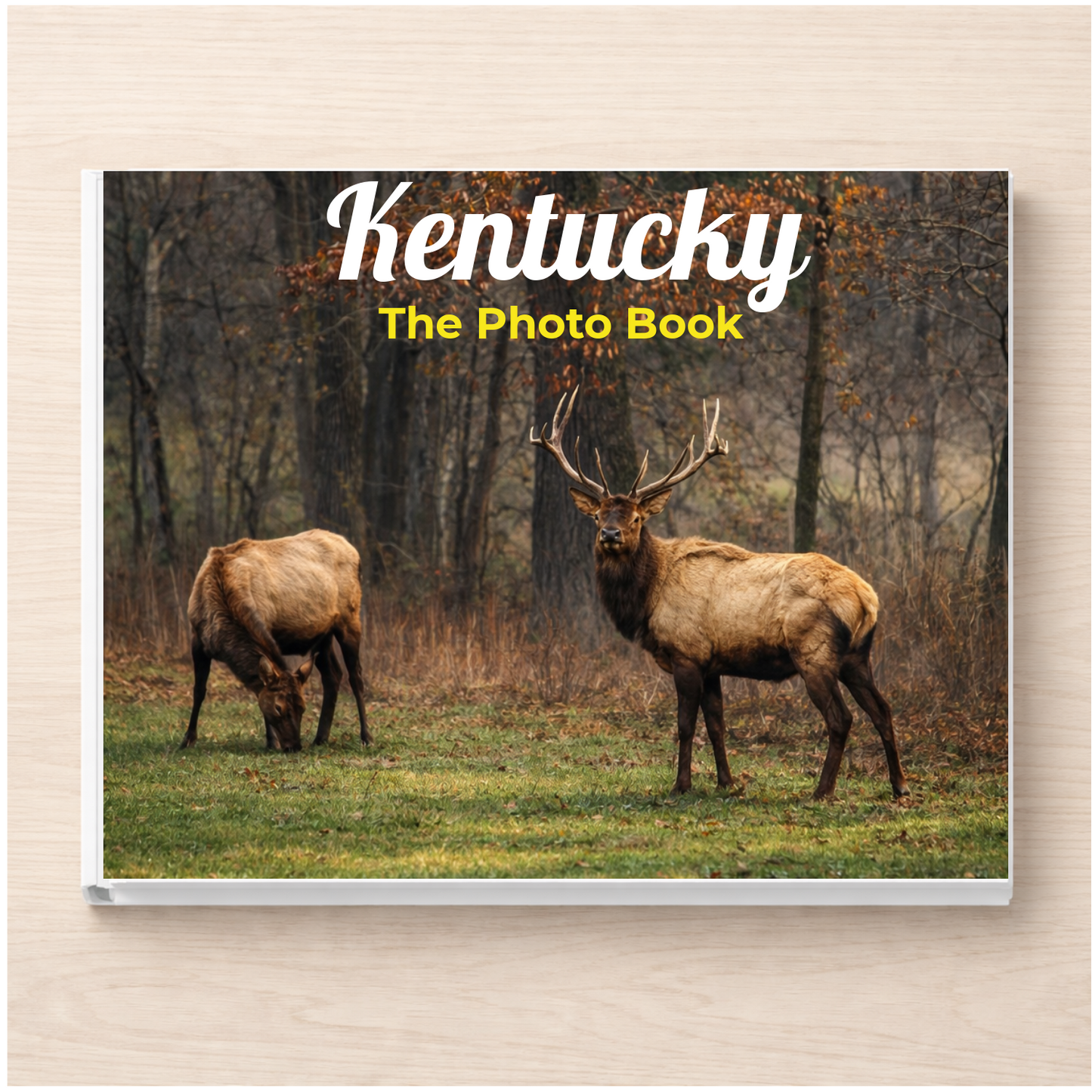 Kentucky: The Photo Book