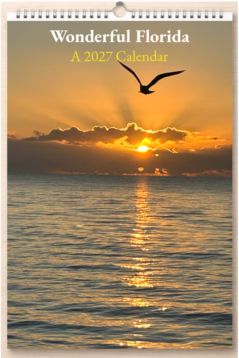 Wonderful Florida: A 2027 Calendar