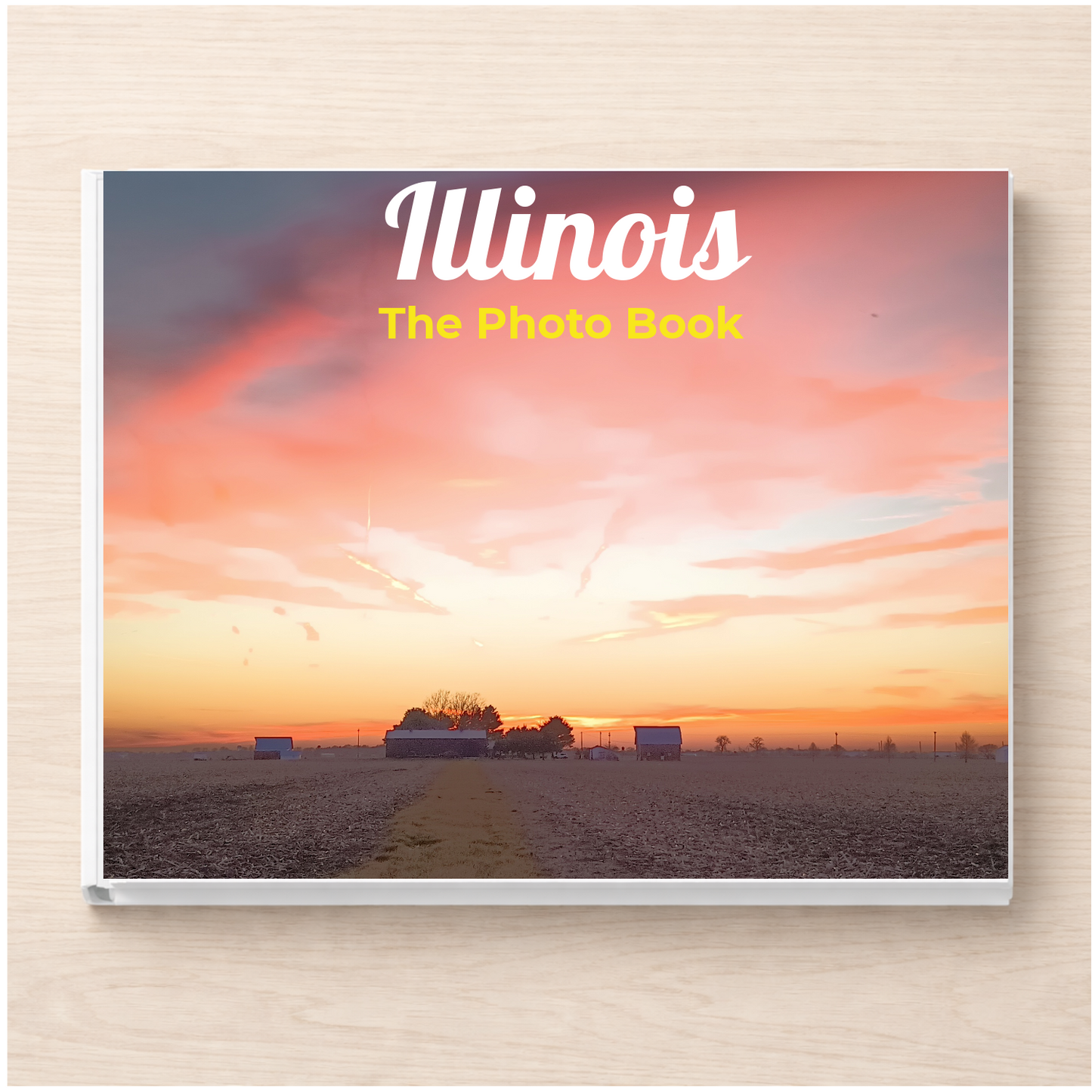 Illinois: The Photo Book