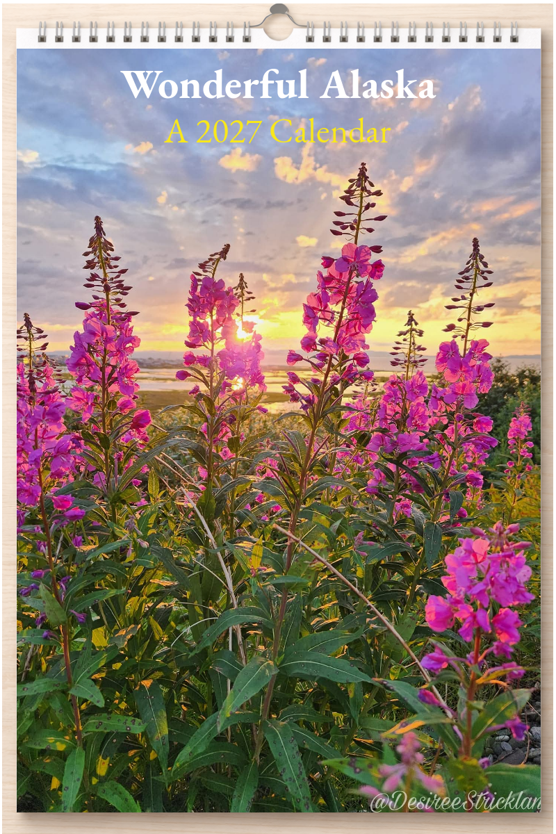 Wonderful Alaska: A 2027 Calendar