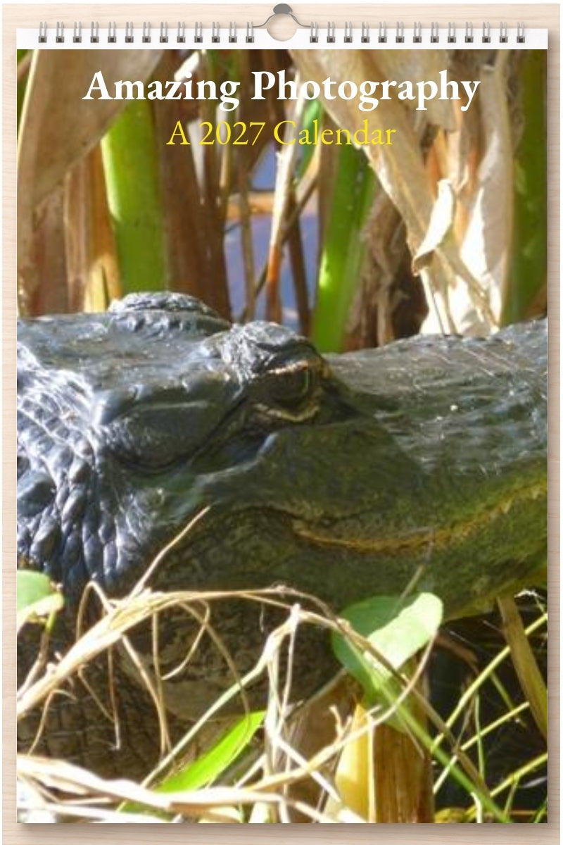 Amazing Photography: A 2027 Calendar