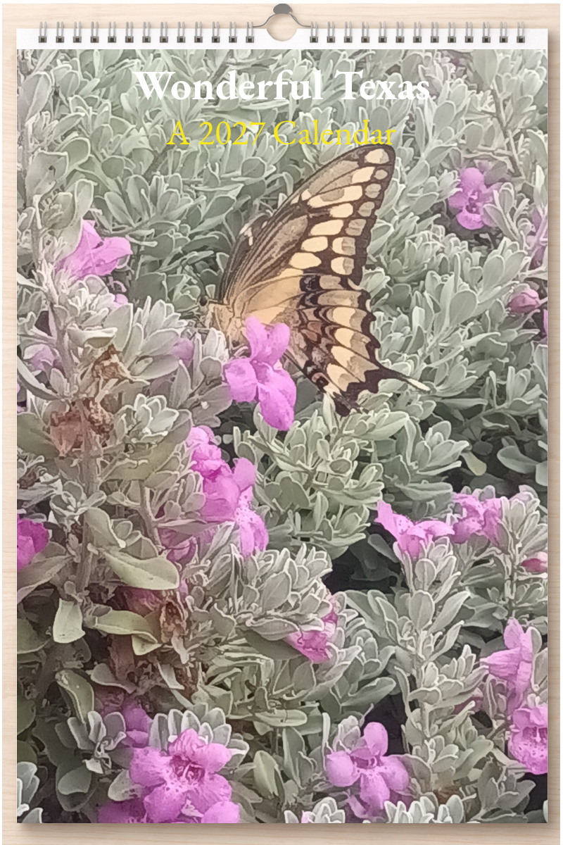 Wonderful Texas: A 2027 Calendar
