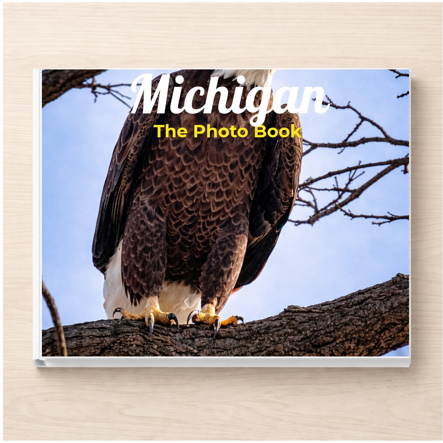 Michigan: The Photo Book