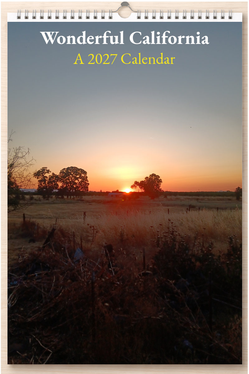 Wonderful California: A 2027 Calendar