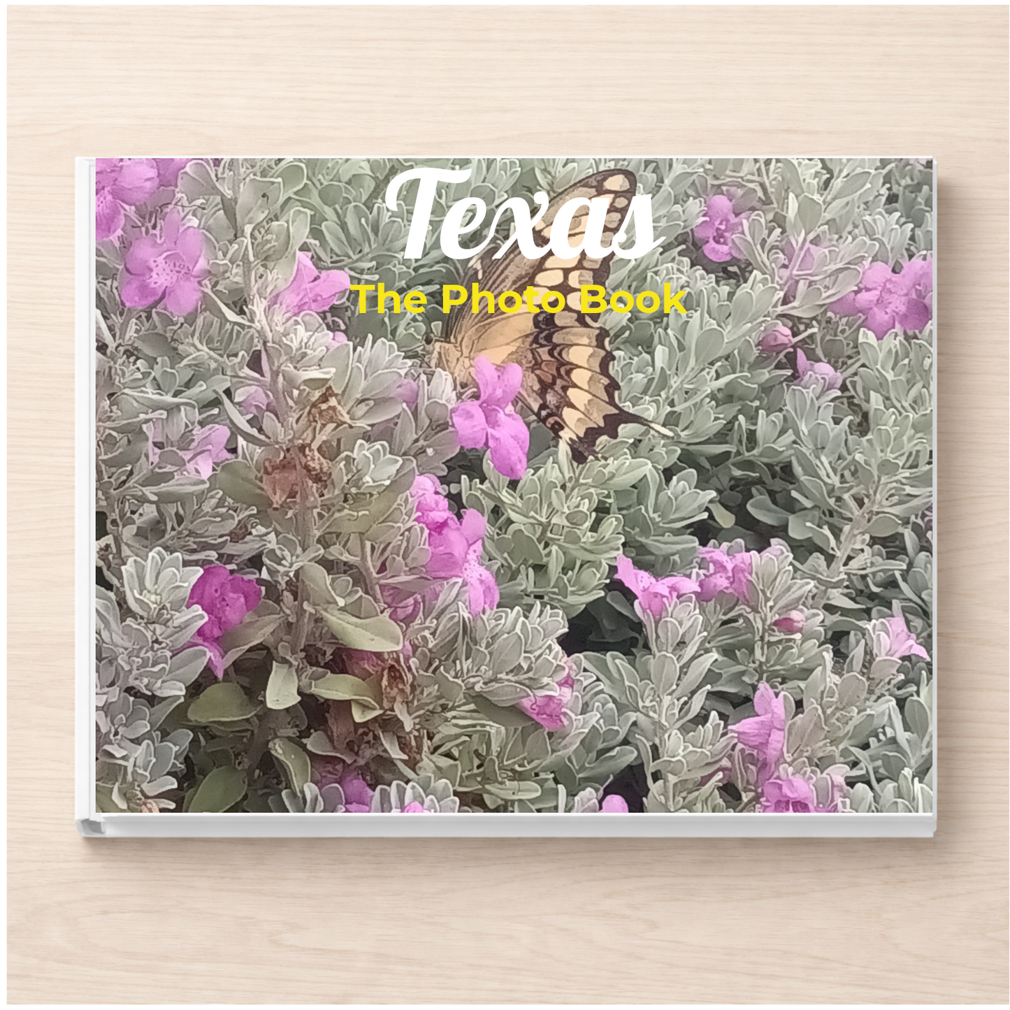 Texas: The Photo Book