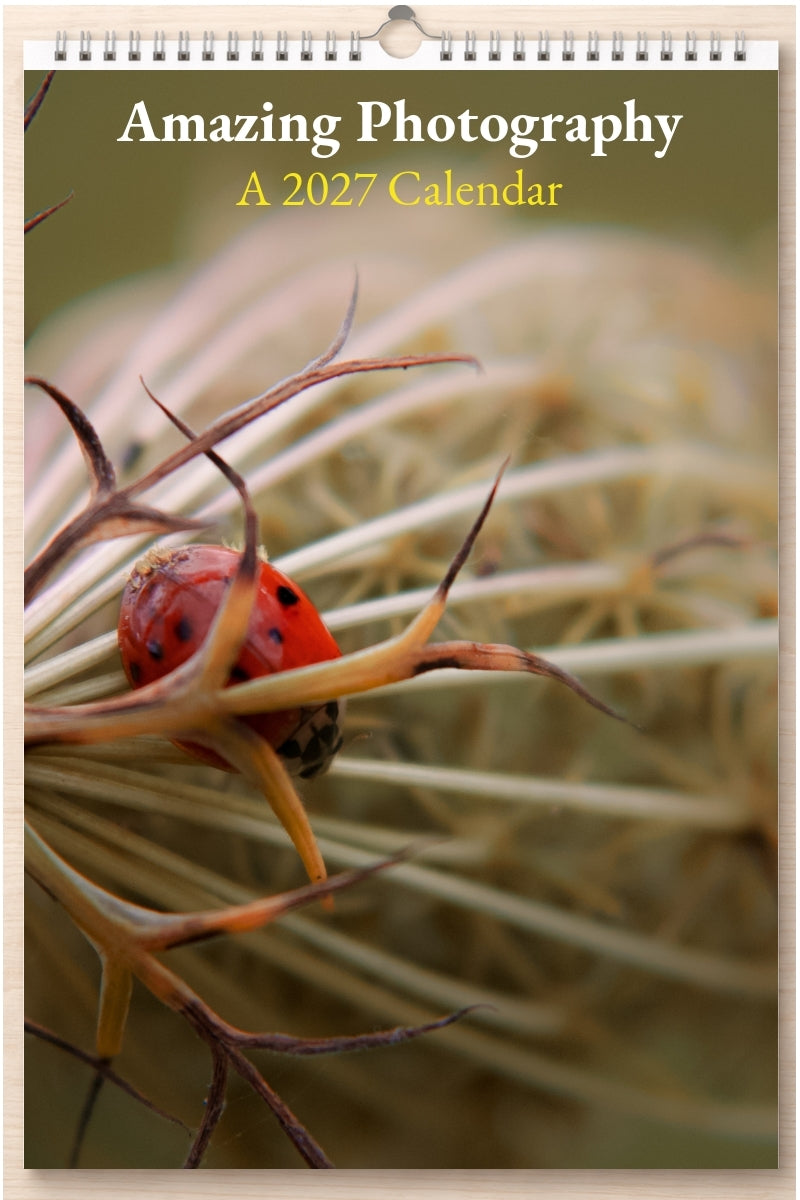 Amazing Photography: A 2027 Calendar