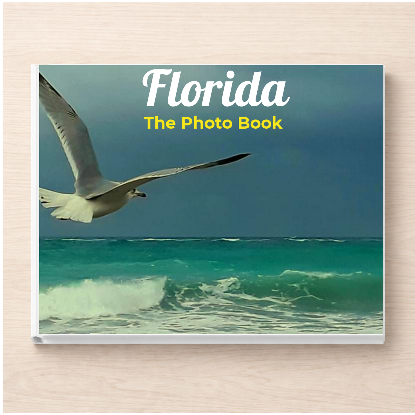 Florida: The Photo Book