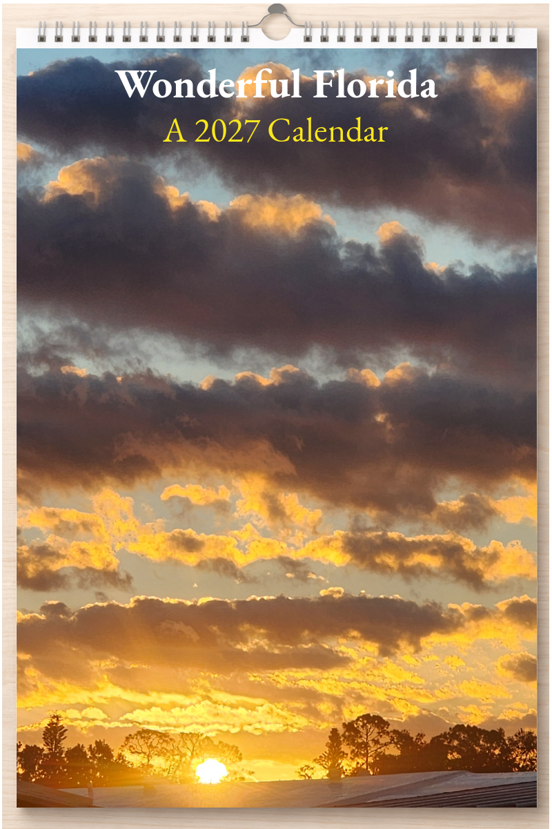 Wonderful Florida: A 2027 Calendar