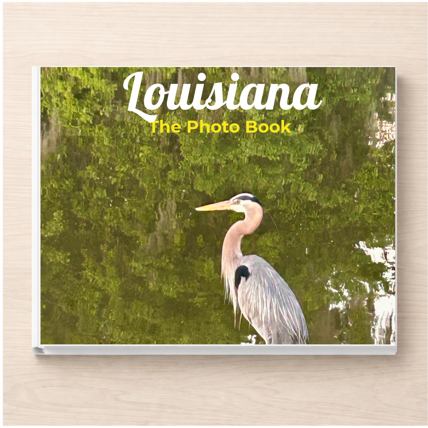 Louisiana: The Photo Book