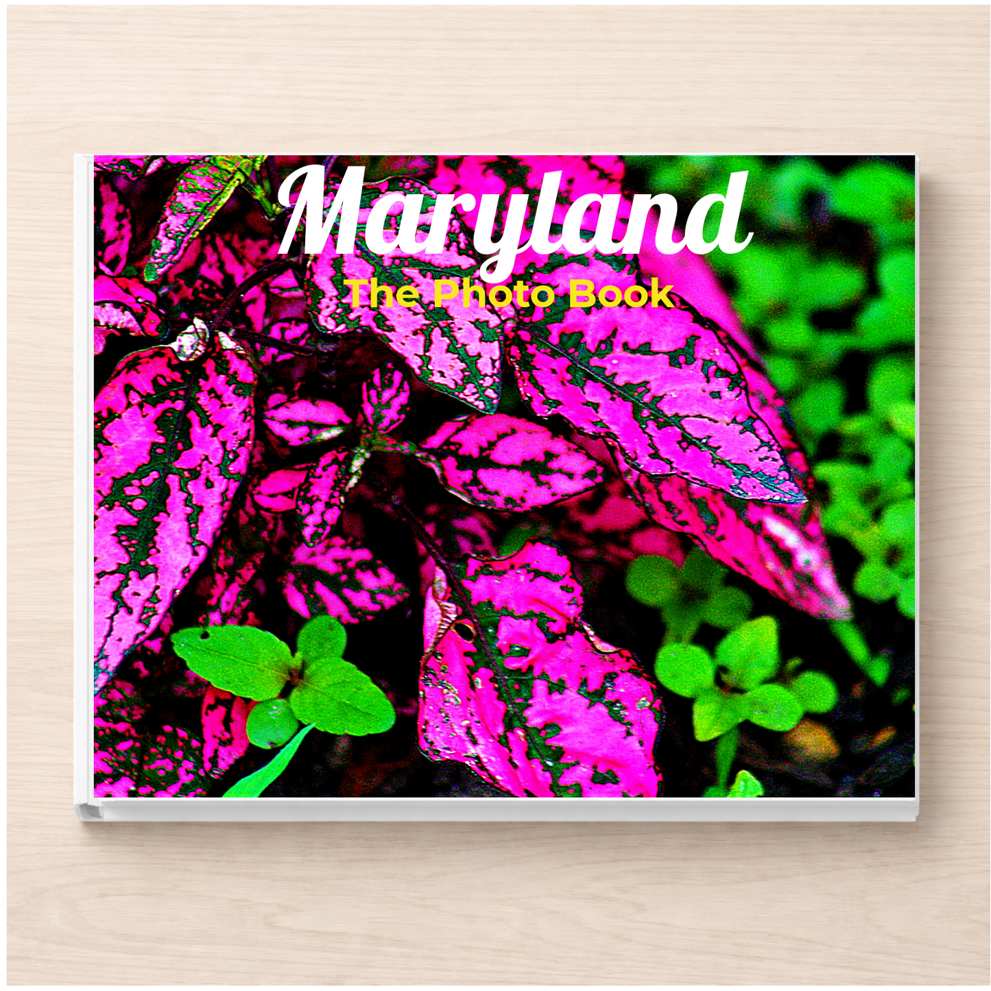 Maryland: The Photo Book