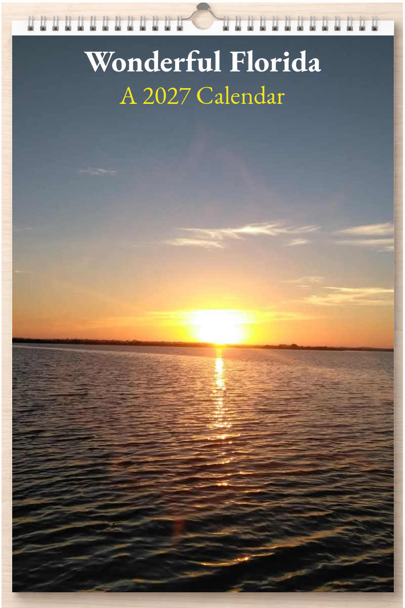 Wonderful Florida: A 2027 Calendar