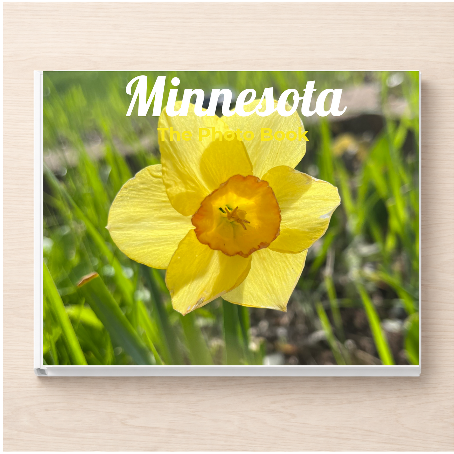 Minnesota: The Photo Book