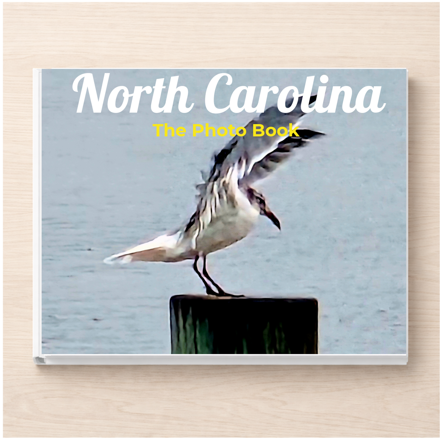 North Carolina: The Photo Book