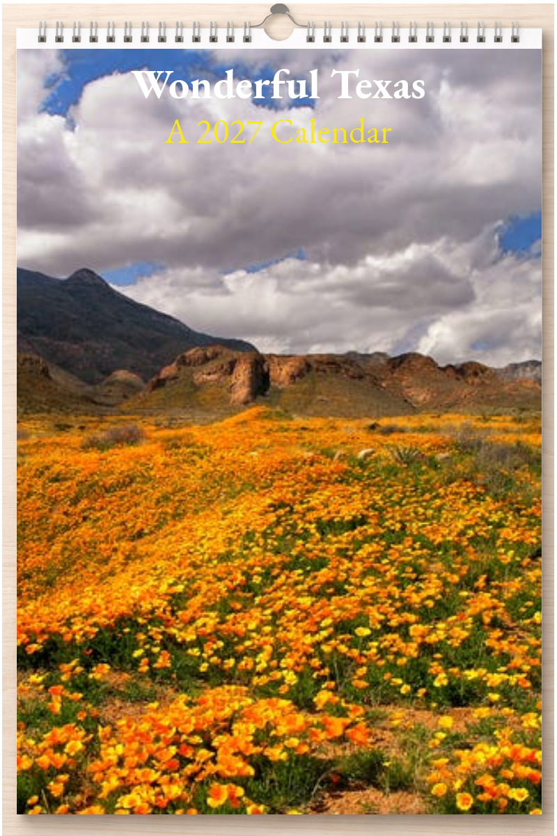 Wonderful Texas: A 2027 Calendar