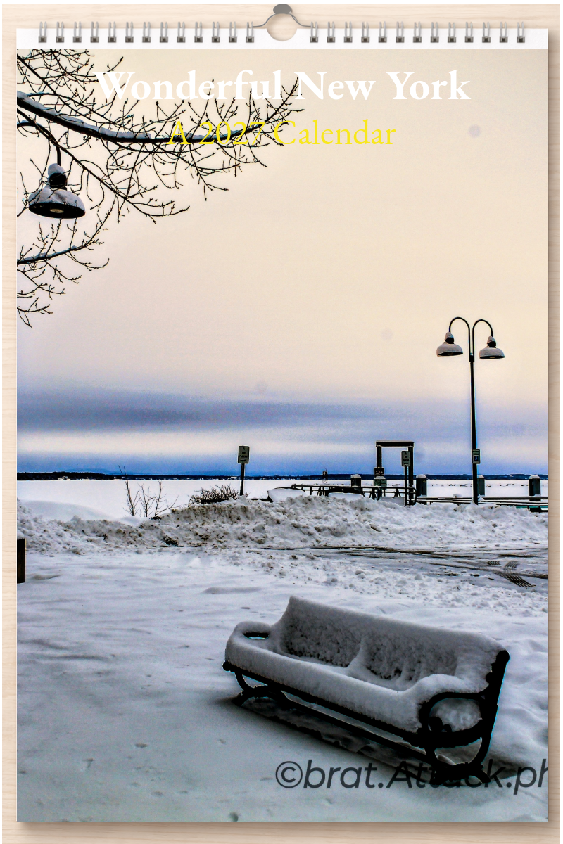 Wonderful New York: A 2027 Calendar