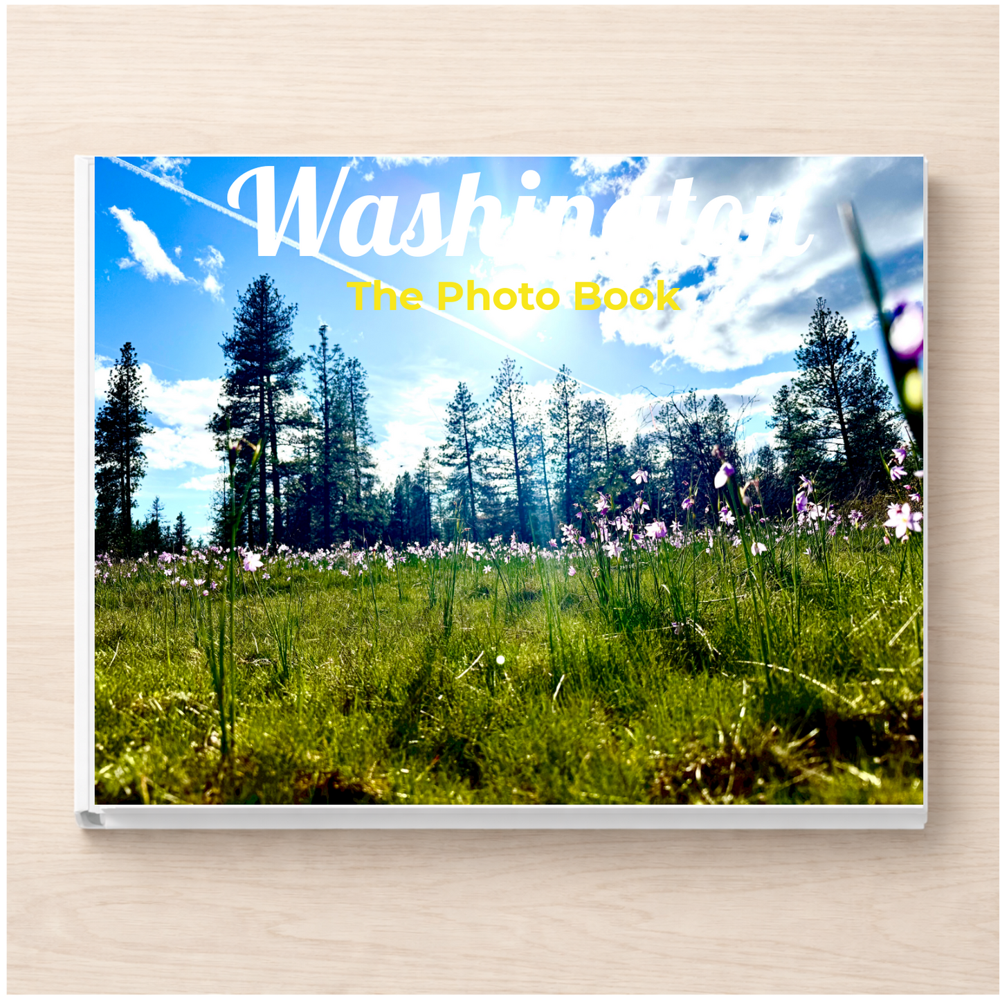 Washington: The Photo Book