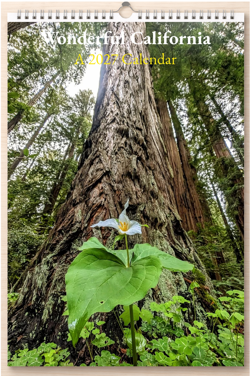 Wonderful California: A 2027 Calendar