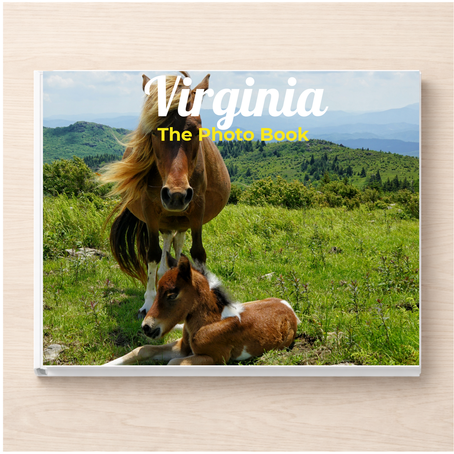Virginia: The Photo Book