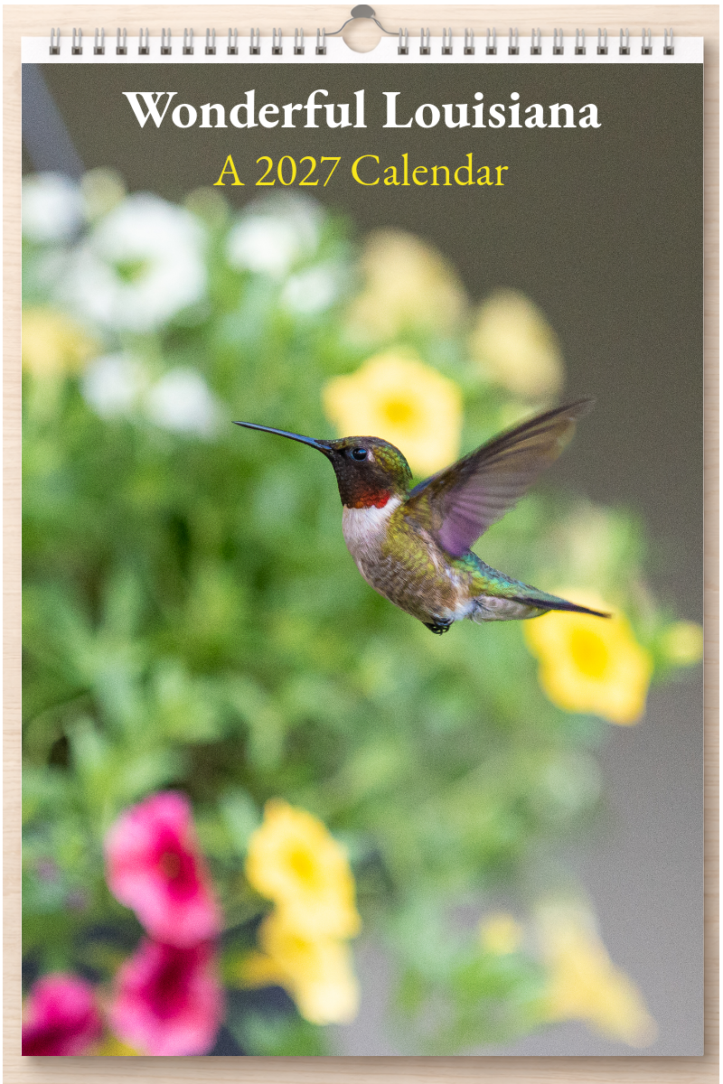 Wonderful Louisiana: A 2027 Calendar
