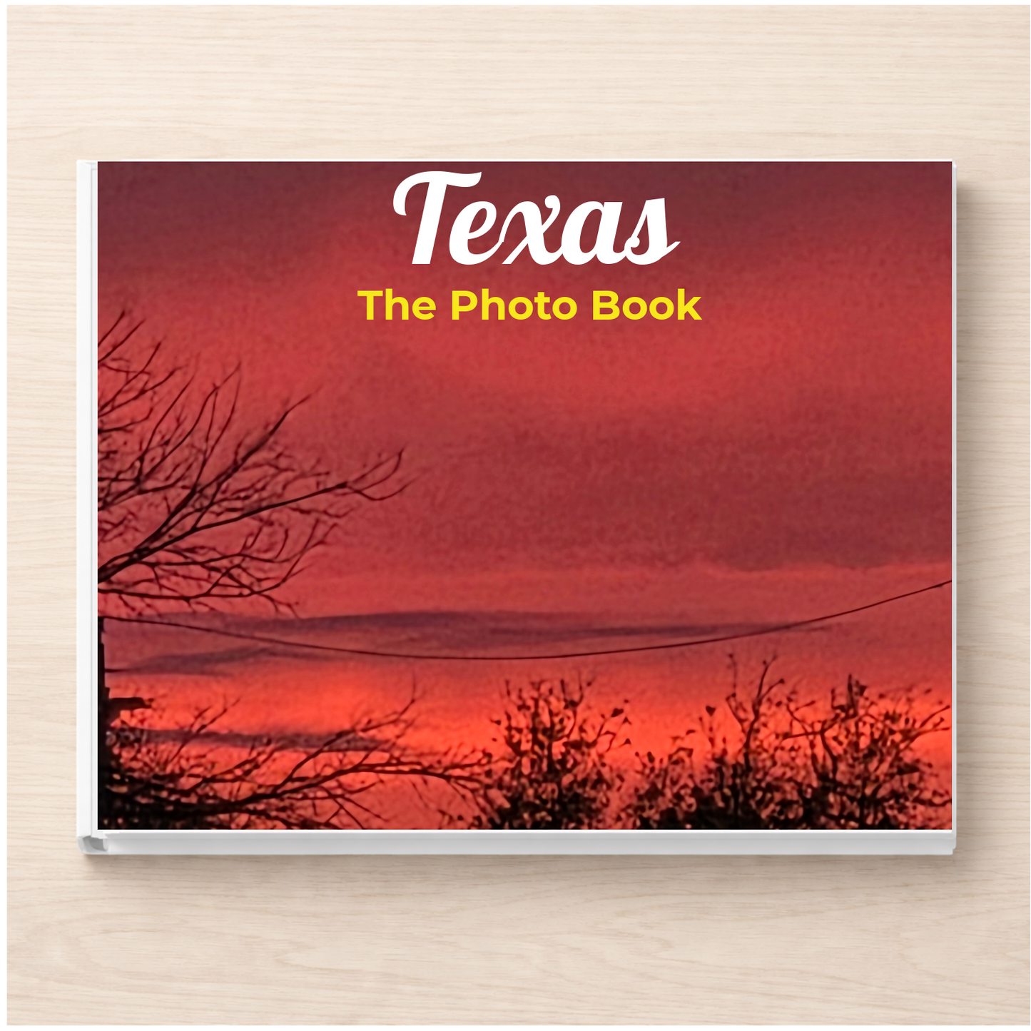 Texas: The Photo Book