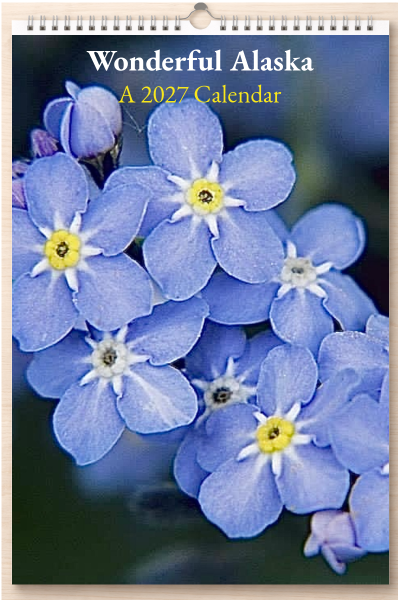 Wonderful Alaska: A 2027 Calendar