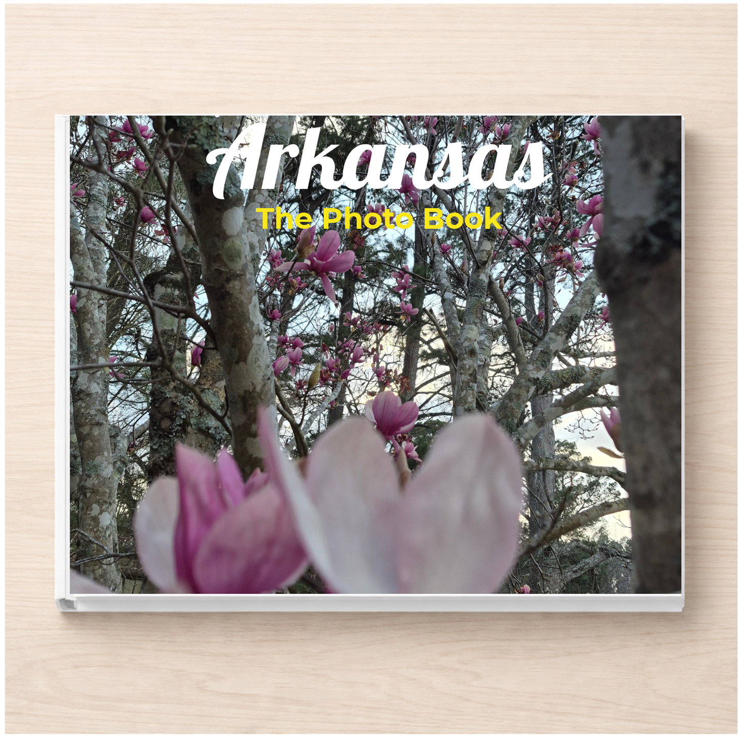 Arkansas: The Photo Book