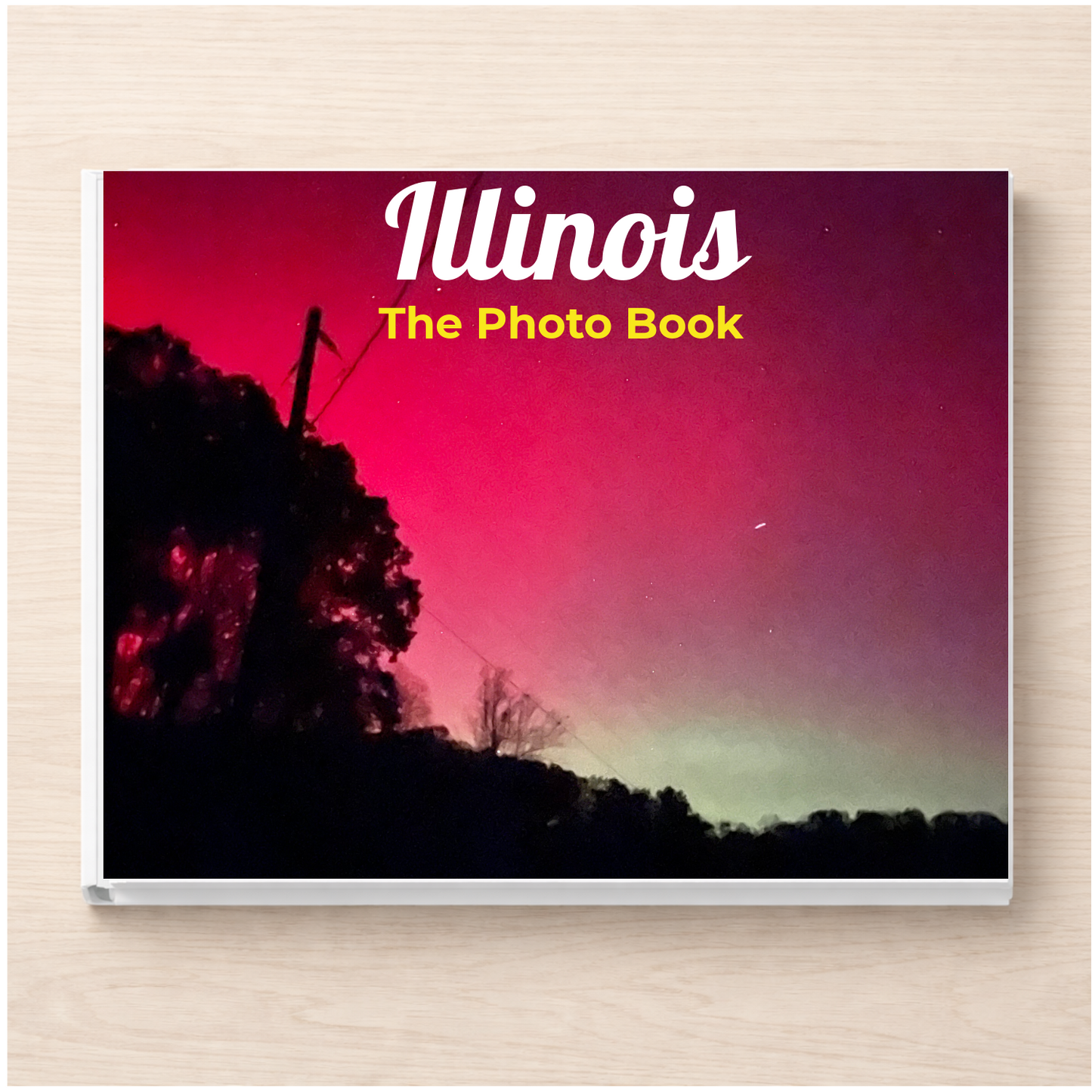 Illinois: The Photo Book