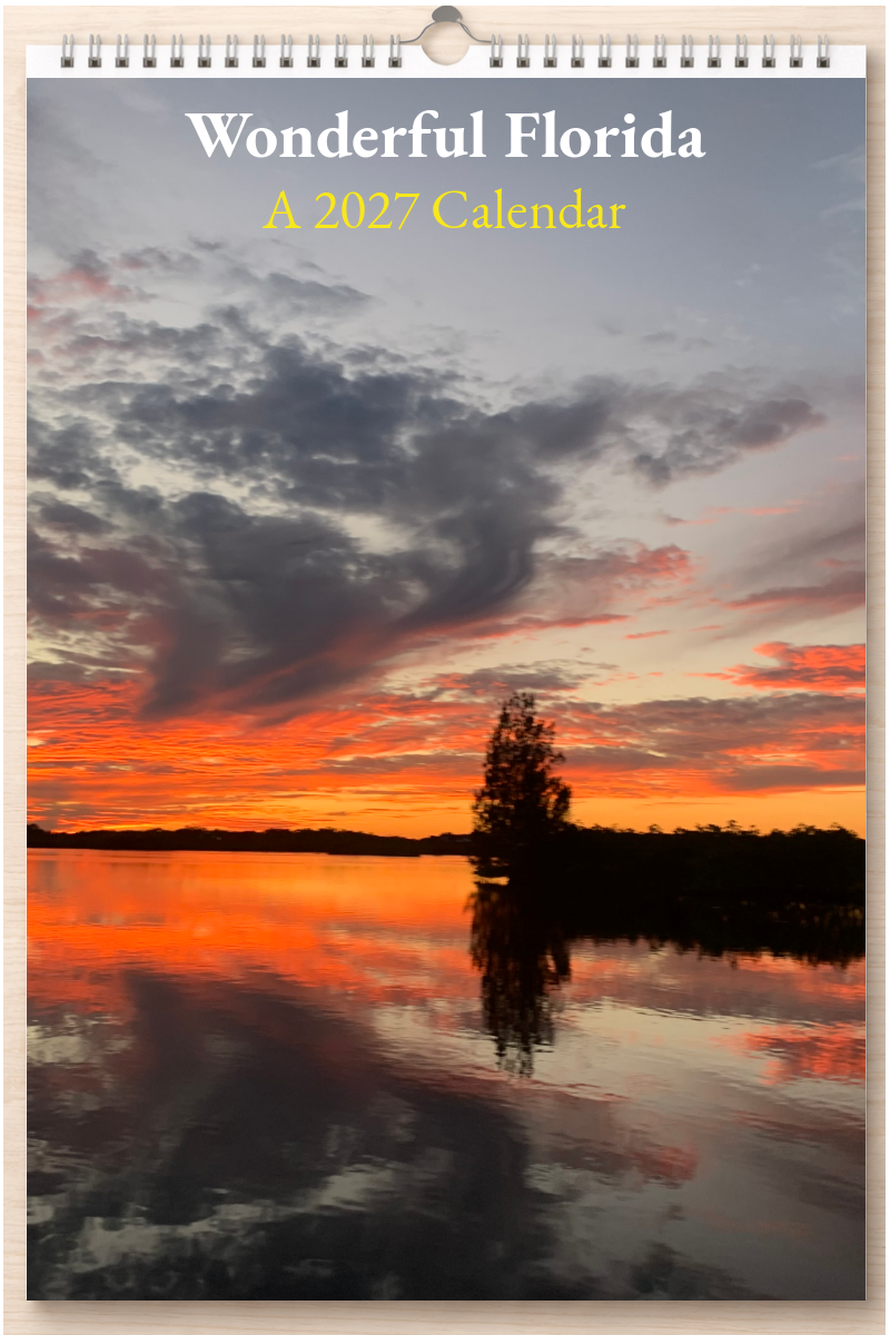 Wonderful Florida: A 2027 Calendar