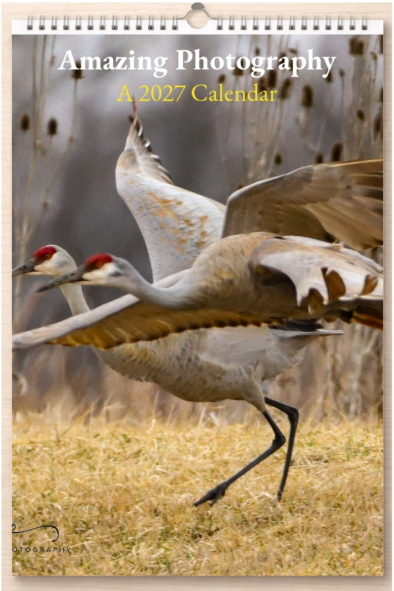 Amazing Photography: A 2027 Calendar