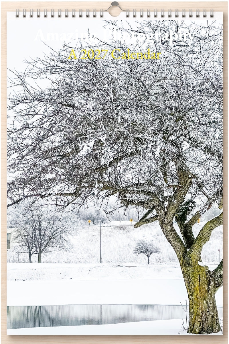 Amazing Photography: A 2027 Calendar